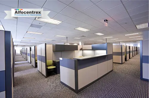 Grama_Paisajismo_Arquitectura_-Alfocentrex-2024