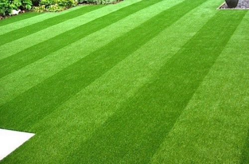 Alfombras Alfocentrex Medellin Rionegro